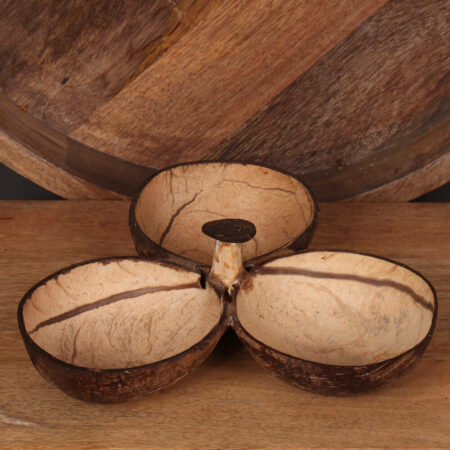 coconut nut bowl